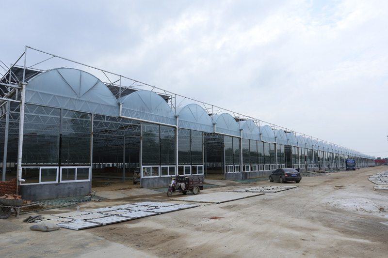 连栋温室大棚